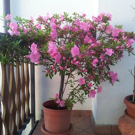 Apartamento Lago Blu