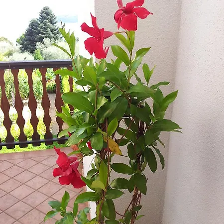 Apartamento Lago Blu Gardone Riviera